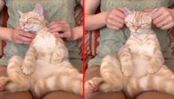 Mačka otišla na masažu i doživela zen iskustvo