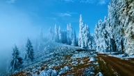 Bajkoviti prizor šume u Bukovini probudiće zimsku radost u vama