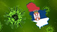 Grip se širi u Srbiji: Potvrđen u 15 okruga, dva uzrasta na udaru
