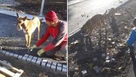 Radnici "Zelenila" uređivali park u 45. bloku, a onda su se pojavili psi i uzeli stvar u svoje zube