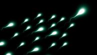 Spermatozoidi "pamte" način ishrane, težinu i stres muškaraca i mogu da ih prenesu na potomstvo