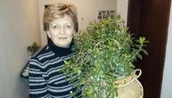 Baka Anka pred smrt otkrila da gaji biljke koje donose pare: Sad celo selo kod Kraljeva ima taj cvet