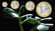 4 biljke za koje se veruje da privlače novac: Još više sreće donose ako ih dobijete na poklon
