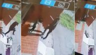 Snimak uznemirio Novi Sad: Čovek došao do ulaza zgrade samo da išutira psa