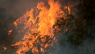 Požar u blizini letovališta u Albaniji: Vatrenu stihiji gasili vatrogasci i žitelji