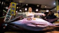 Tuna prodata za 1,8 miliona dolara: Vlasnik japanskog suši restorana ponovo kupio najskuplju ribu