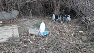 Jeziv prizor u Rakovici: Psi bez glava leže kod pruge. Da li je to potpis sekte ili nesrećni slučaj?