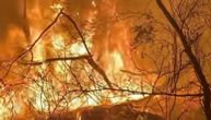 Čudo u Australiji: Požar joj uništio kuću, a bašta je ostala netaknuta