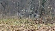 "Sakrili" zapaljen automobil u grmlju kod Topčiderskog groblja: Policija traga za napadačima s Brda