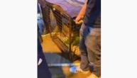 Ludilo u Ulcinju: Doneli vuka na fudbalski turnir u prepunu salu, preplašena životinja u šoku