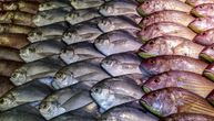 Ribari u velikom problemu: Zbog kovida nema slavlja, potražnja za ribom nikad manja