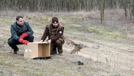 Flight of freedom over Subotica Sands: Rare Ural owl and 19 strictly protected songbirds released