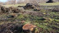 Novosađane uznemirila seča drveća: Pomislili da ih neko neovlašćeno uništava, a sređuje se novi park