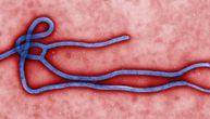 Eksperti tvrde da je korona virus jednako opasan kao ebola, a ovo je glavni razlog