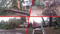 Strong gusts of wind rip out trees from roots: Mini tornado sweeps through New Belgrade's Block 45