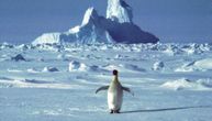 Lome se glečeri, pingvini nestaju, a temperature obaraju rekorde: Šta se to događa sa Antarktikom?