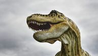 Neverovatno otkriće kanadskih naučnika: I dinosaurusi obolevali od raka