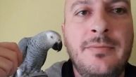 Papagaj Hugo zna 2.000 reči, Andrija s njim priča po ceo dan: "Ne možeš vani!"