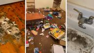 Fekalije pasa po zidu, smrad kao u štali: Porodici iznajmio stan, hteo da umre kad je ušao u njega