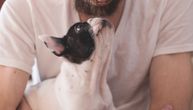 Korona virus zbunio naučnike: Zaraženi pas prvi slučaj prenošenja sa čoveka na životinju?