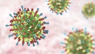 U širenju korona virusa najopasniji su oni koji su zaraženi, a ne ispoljavaju simptome