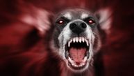 Ženu (60) napali i usmrtili psi: Horor u Liverpulu