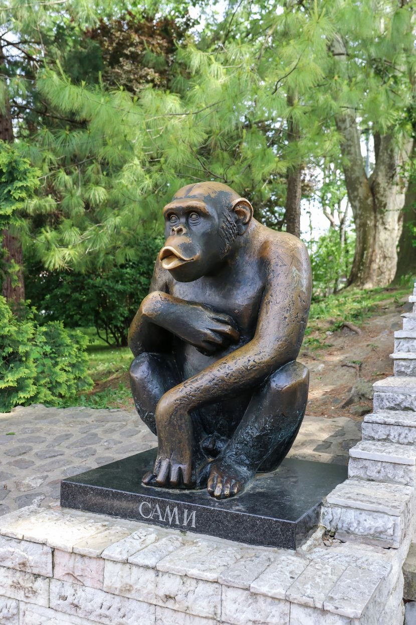 Najpoznatiji Begunci Iz Beo Zoo Vrta Paunovi Pobegli Da Traze Zenke Sami Se Odmetnuo Dva Puta Telegraf Rs