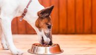 Želite da pravite domaće obroke za vašeg psa? Ovo je sve što treba da znate pre nego što počnete