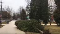 Orkanski vetar napravio haos u Moskvi: Muškarac poginuo pošto je stablo palo na njega