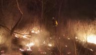 Veliki požar na Zlatiboru konačno je lokalizovan: Vatra gorela 3 dana, zahvatila 100 hektara šume
