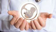 Ostvarena prva trudnoća u Srbiji putem doniranih spermatozoida: Lepa vest iz GAK "Narodni front"