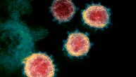 Korona virus je u svom slabljenju: Naučnici otkrili novu mutaciju koja obećava