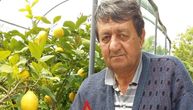 Limun je poskupeo, ali ovaj voćar ne mari za to: U svom domu ima 50 stabala žute voćke