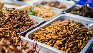 Kriza tera na nove odluke: Insekti su puni proteina i mogli bi da se nađu na našem tanjiru