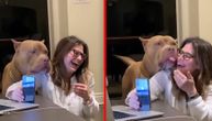 Imala je onlajn sastanak, a onda se i pas priključio razgovoru