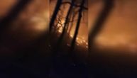 Vatrogasci tri dana ne mogu da ugase požar na Zlatiboru: Vatra zahvatila 100 hektara šume