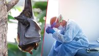 "Žena šišmiš" poslala jezivo upozorenje na godišnjicu prvog korona slučaja: Čeka nas nova pandemija