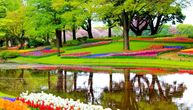 Najveća bašta lala na svetu procvetala daleko od očiju turista, sada je možete virtuelno obići