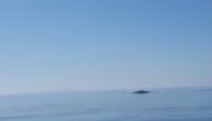 Snimili ogomnog kita u Jadranu: Ribolovci zašli na pučinu, prizor ih oduševio