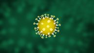 Ko je bolovao od neke druge vrste korona virusa stvorio je imunitet na Covid-19?