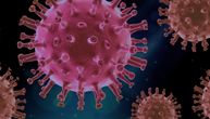 Naučnici otkrili specifičan obrazac širenja korona virusa - i tačku kada se njegovo ponašanje menja