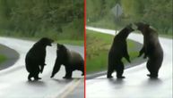 Snimao je žestoku borbu medveda, a kad su krenuli ka njemu, usledila je ozbiljna bežanija