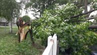 Tragedija kod Ivanjice: Drvo palo na Miroljuba u šumi i usmrtilo ga na mestu