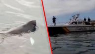 Ajkula duga osam metara krstari španskim vodama, snimak je zastrašujuć