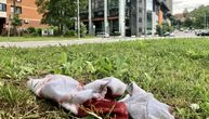 Krvava tuča migranata u Sarajevu: U sukobu koji je eksalirao nožem izbodena jedna osoba