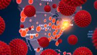Južna, Centralna i Severna Amerika žarište pandemije korone: Imaju više od 2,4 miliona obolelih