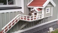 "Arhitektonsko čudo" samo za jednu životinju: Pogledajte kako maca uživa na tremu svoje kućice