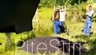 Obrnuli su igricu: Rumunski komunalci asfaltiraju travu usred njive