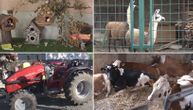 Lame, krave, traktori: Srednja škola u Valjevu je po mnogo čemu jedinstvena