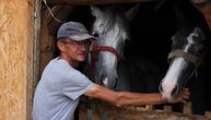 Amer je napustio centar Zenice i napravio mini farmu: Sada živi u vikendici sa 400 životinja